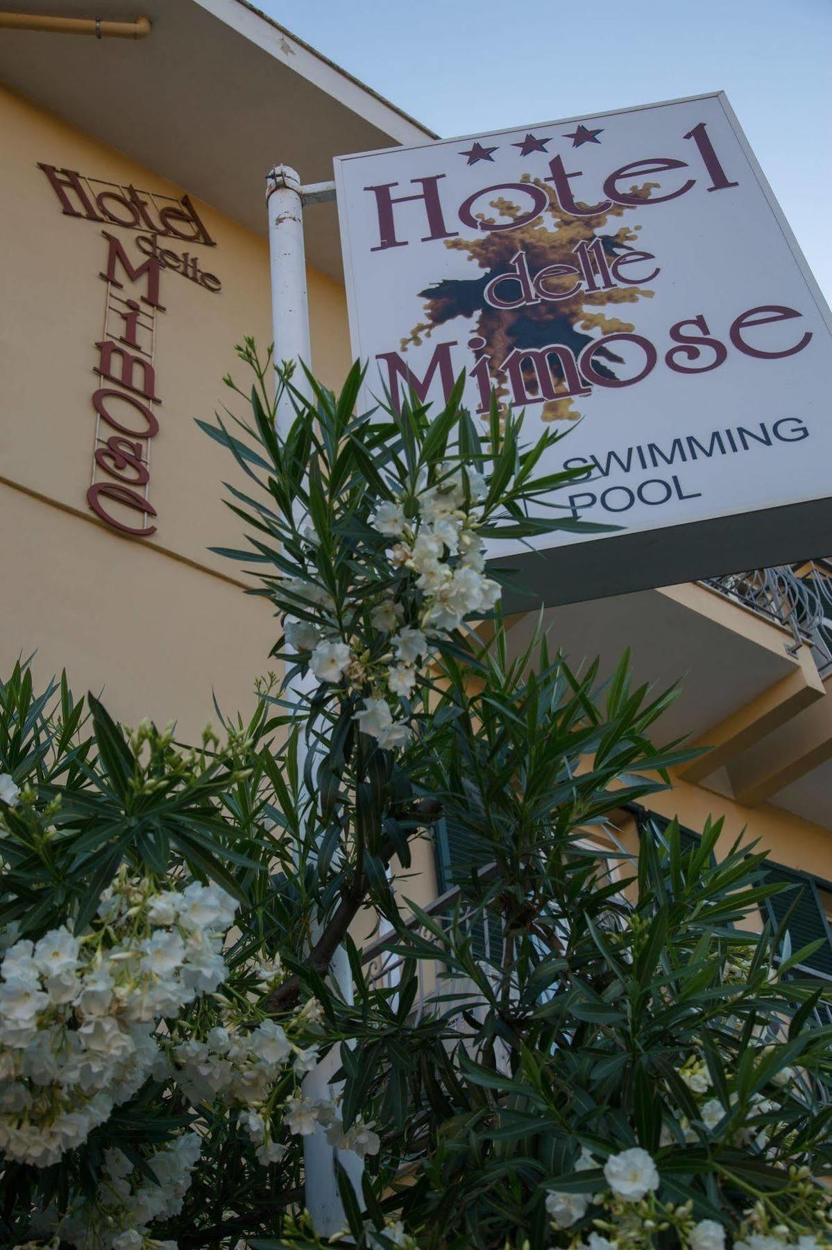 Hotel Delle Mimose Диано-Марина Экстерьер фото